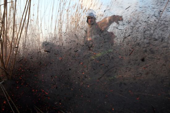 Fire-fighting operations in Astrakhan Region