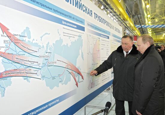 Putin's working visit to Leningrad Region