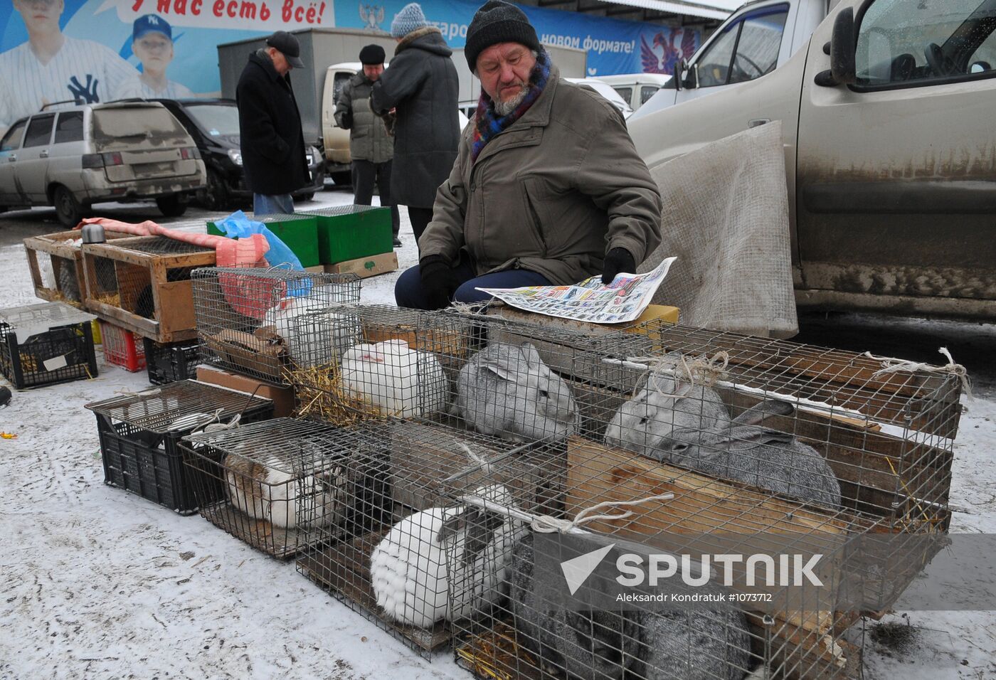 Chelyabinsk Bird Market in operation