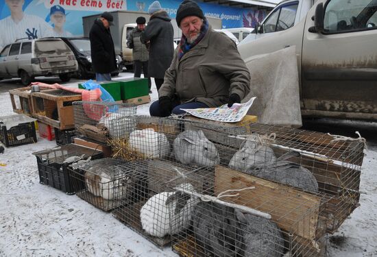 Chelyabinsk Bird Market in operation