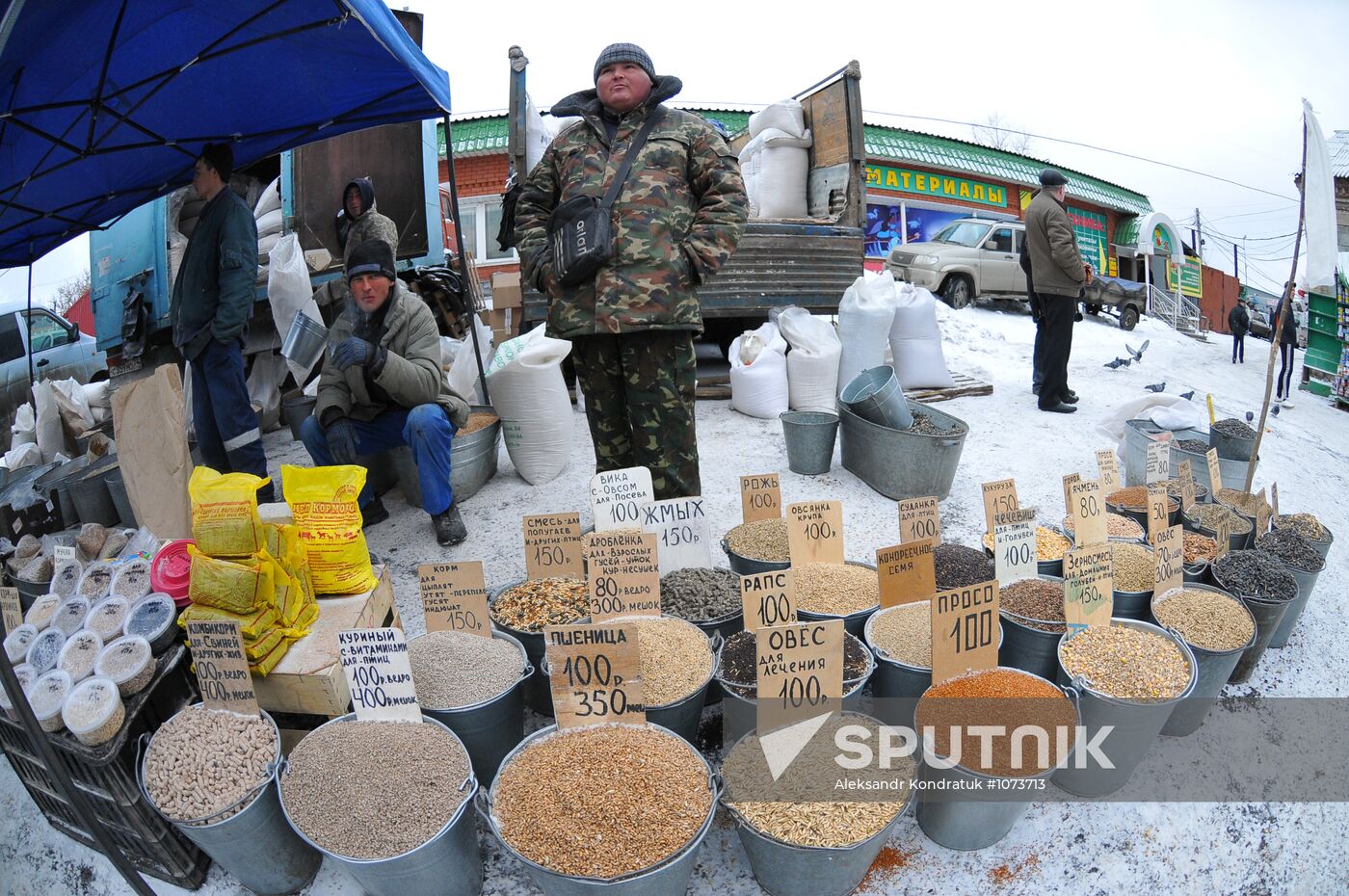 Chelyabinsk Bird Market in operation