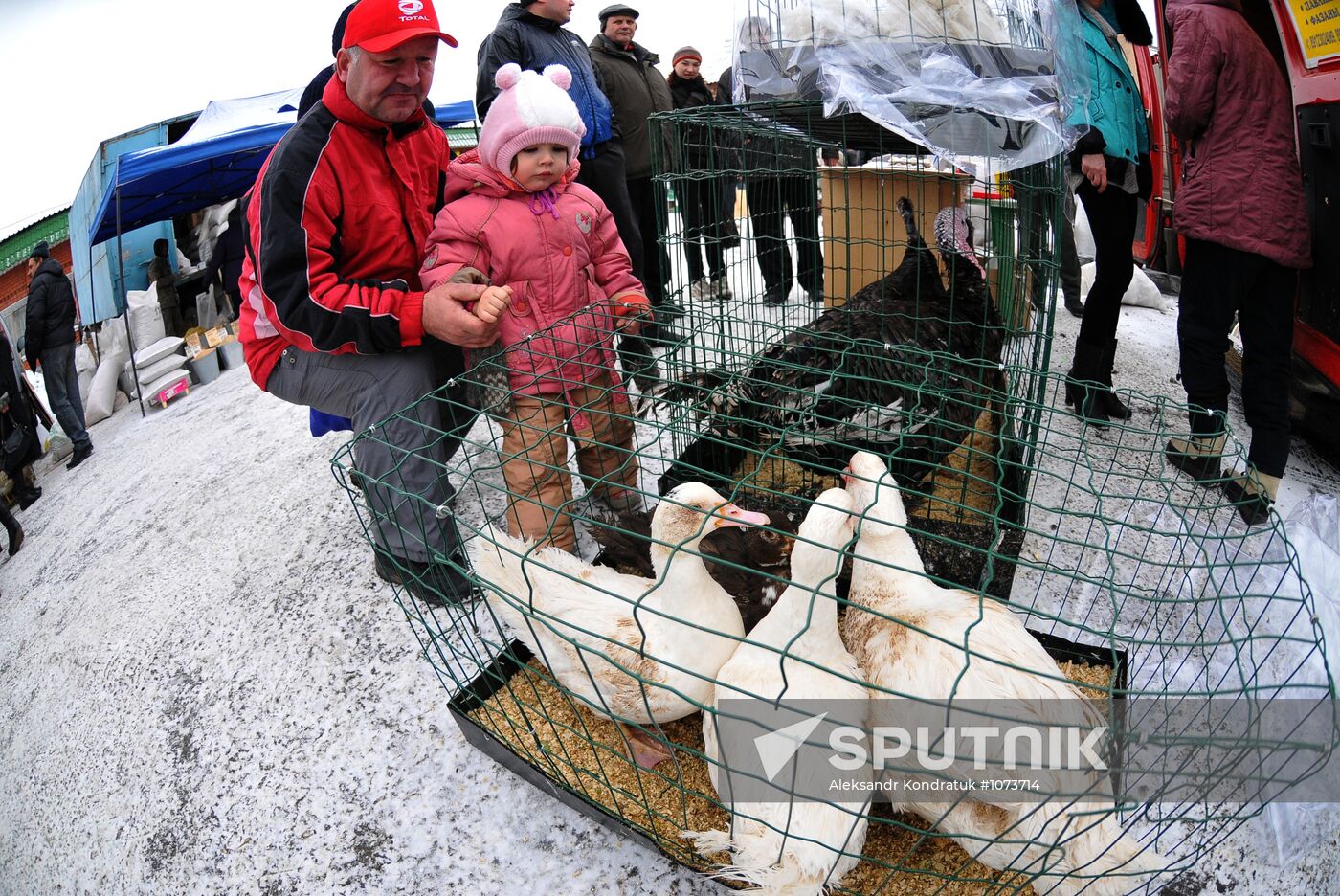 Chelyabinsk Bird Market in operation