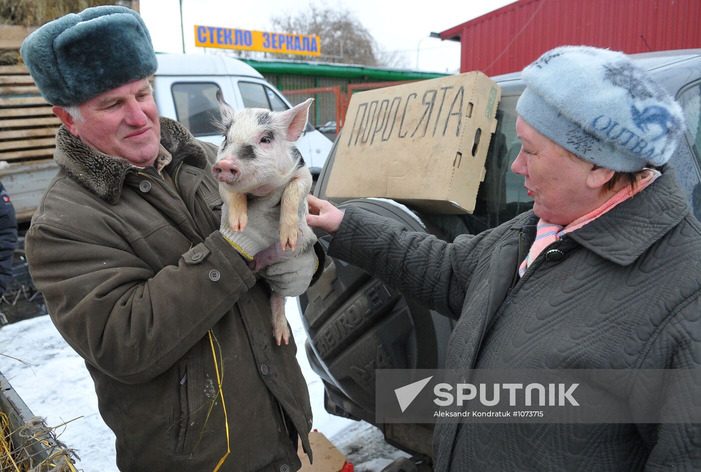 Chelyabinsk Bird Market in operation