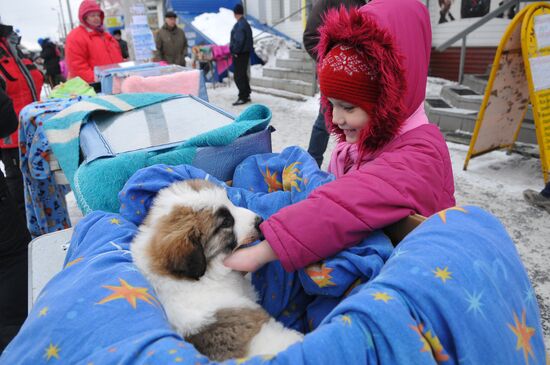 Chelyabinsk Bird Market in operation