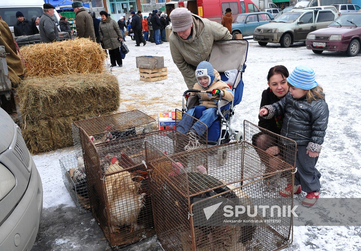 Chelyabinsk Bird Market in operation