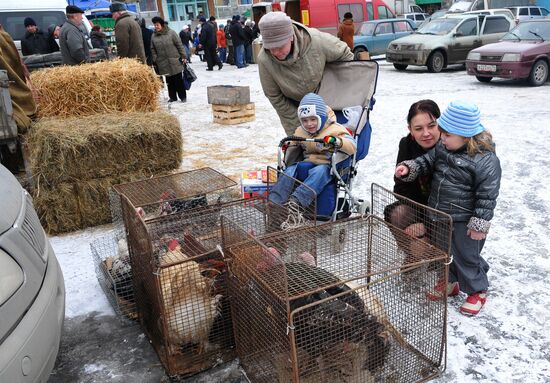 Chelyabinsk Bird Market in operation
