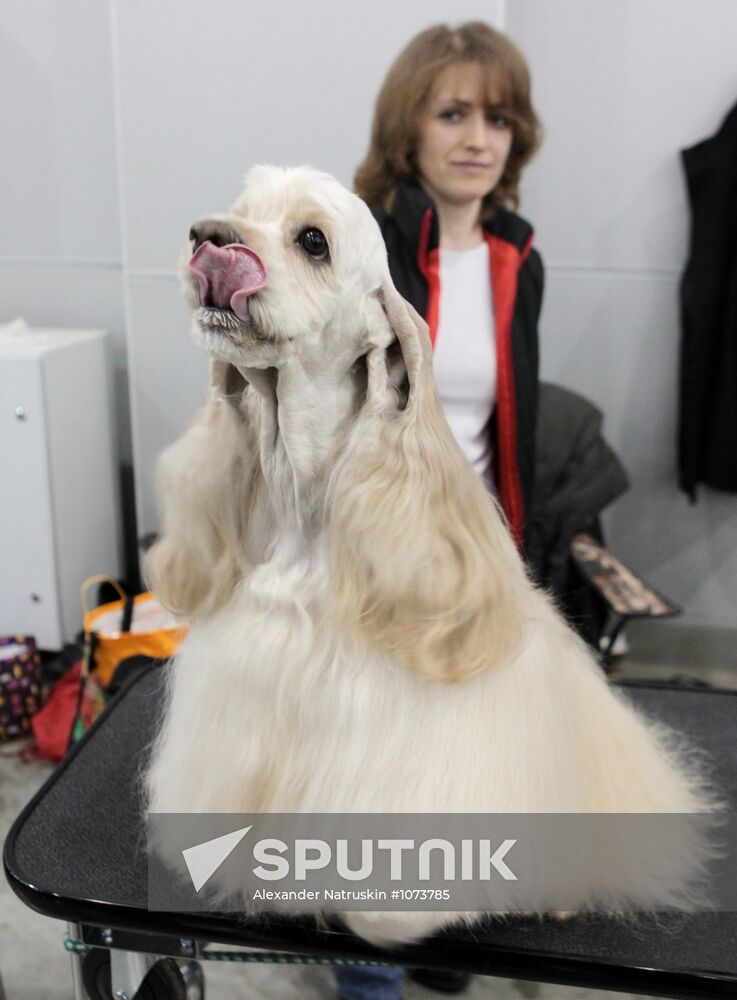 International Dog Show "Eurasia 2012" in Moscow