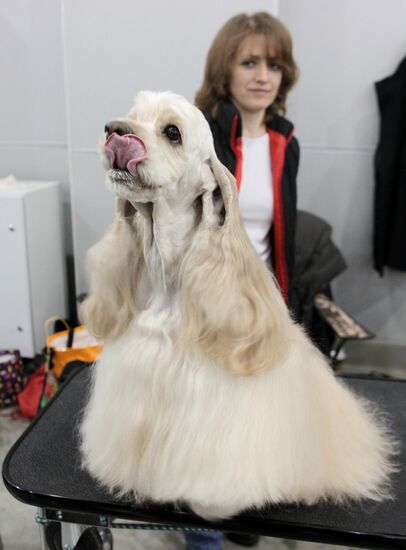 International Dog Show "Eurasia 2012" in Moscow