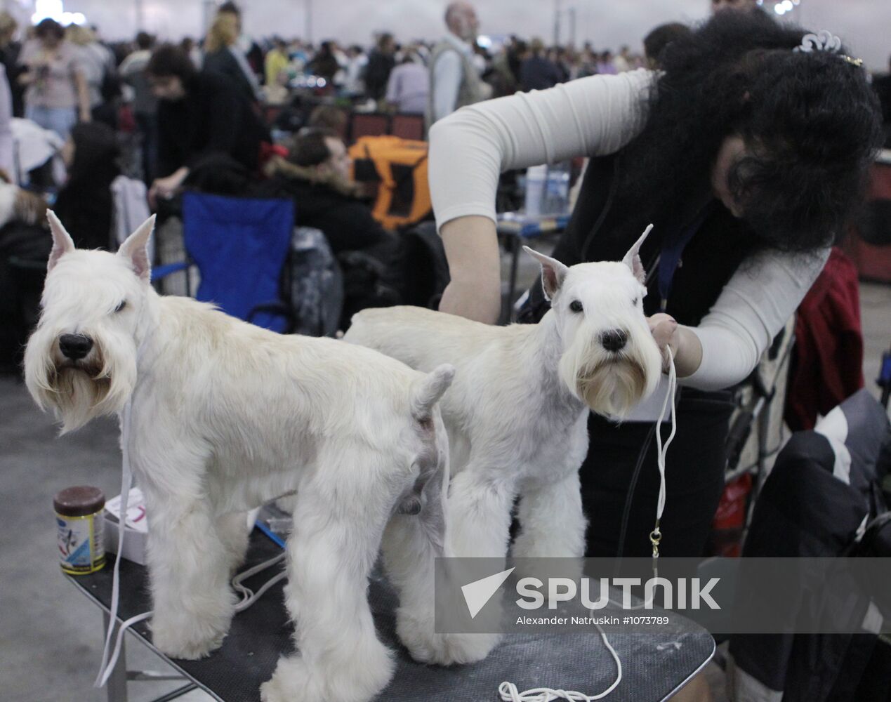 International Dog Show "Eurasia 2012" in Moscow