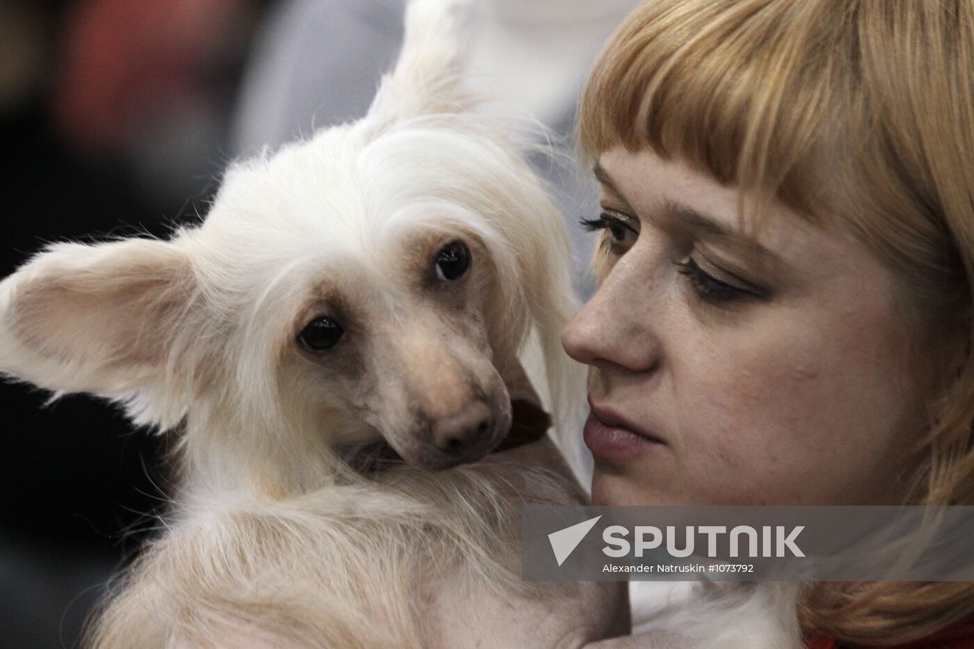 International Dog Show "Eurasia 2012" in Moscow