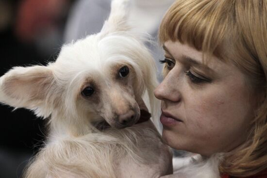International Dog Show "Eurasia 2012" in Moscow
