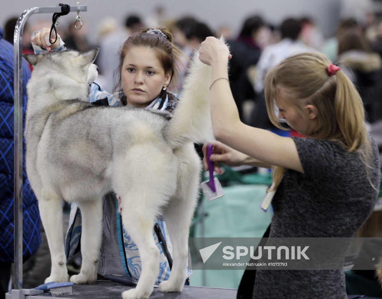 International Dog Show "Eurasia 2012" in Moscow