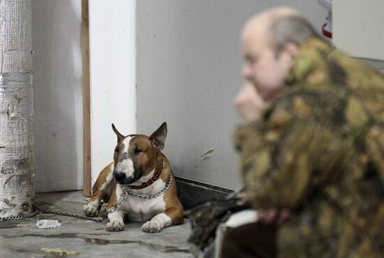 Eurasia international dog show