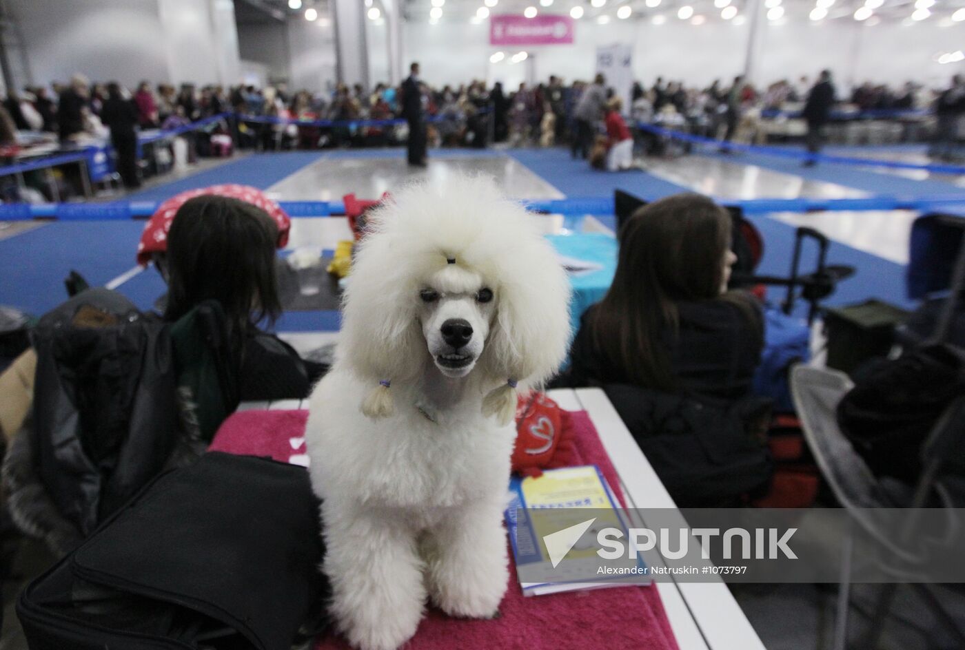 Eurasia international dog show