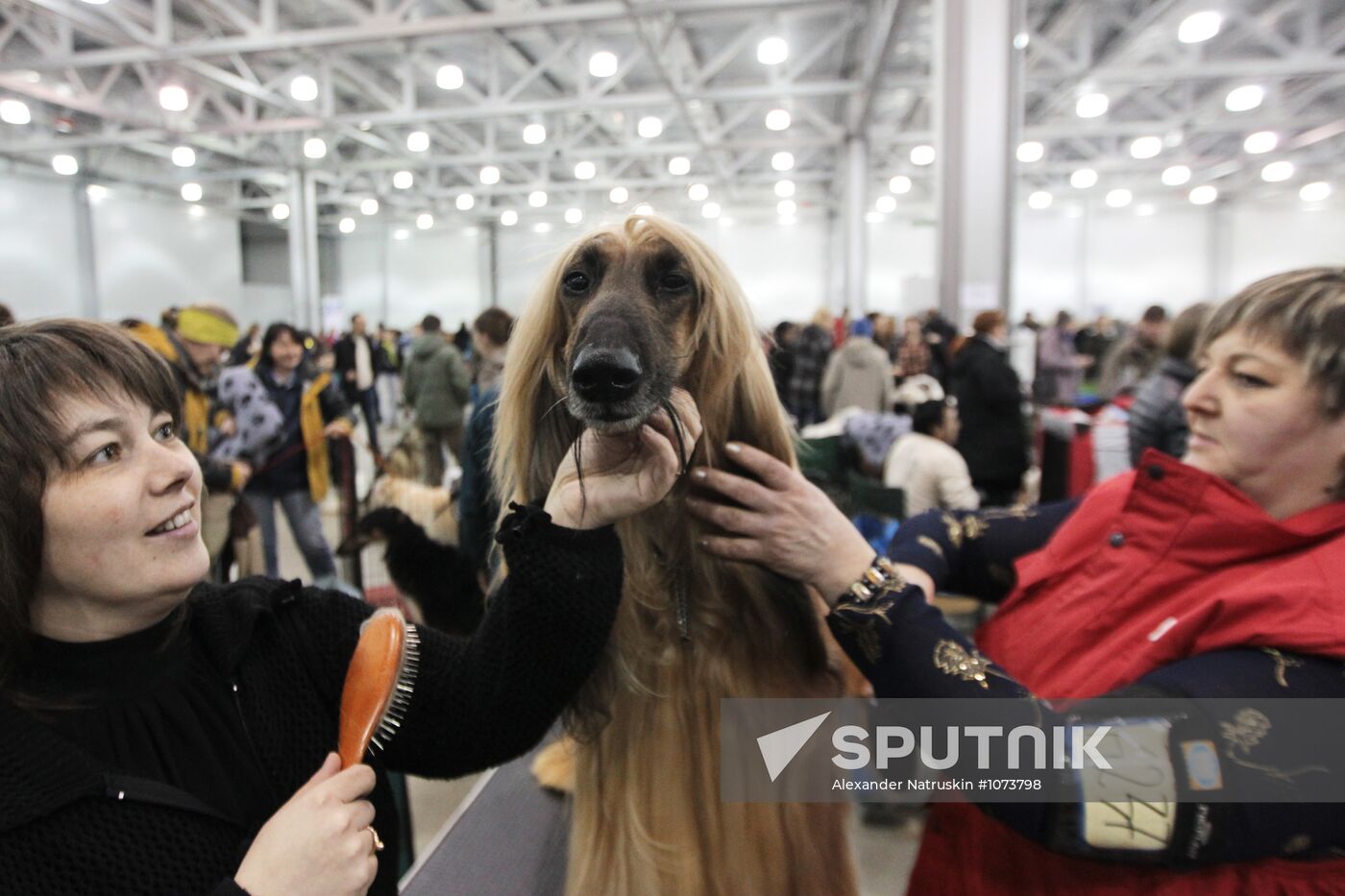 Eurasia international dog show