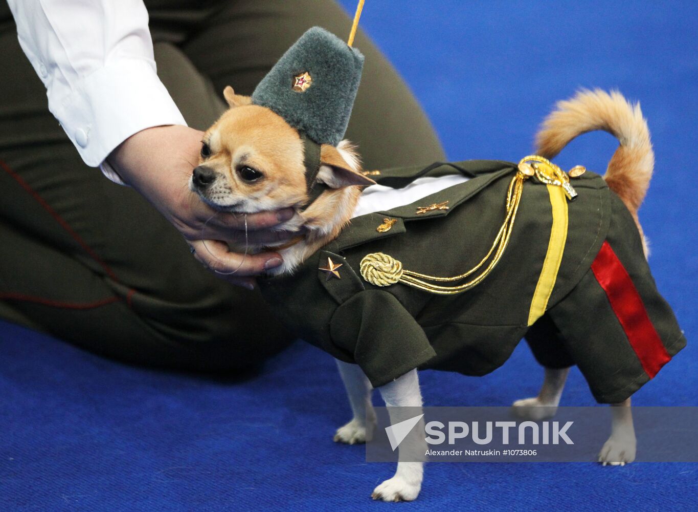 Eurasia international dog show