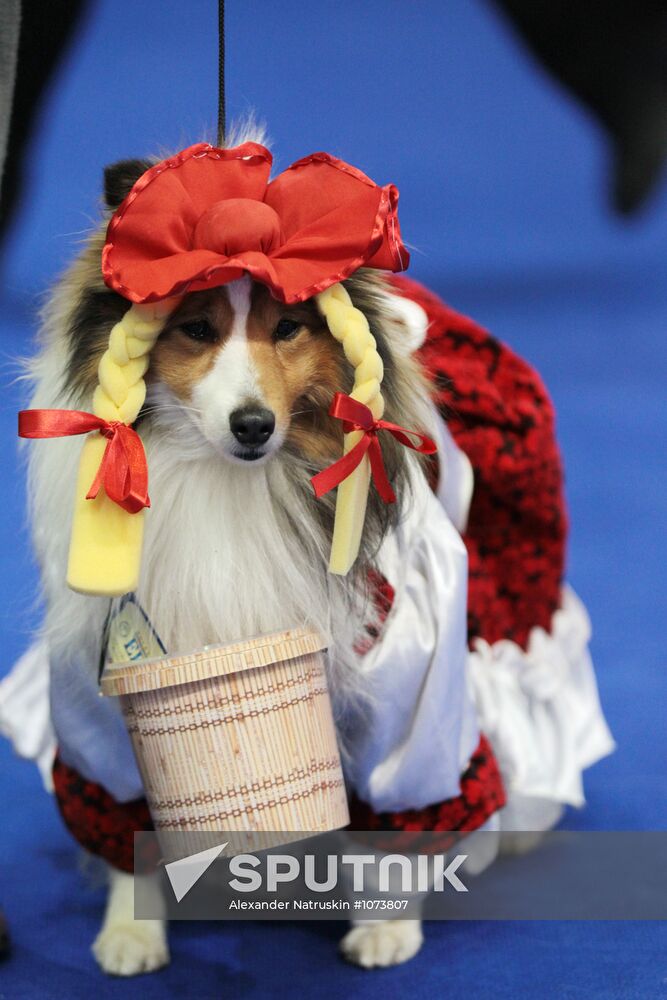 Eurasia international dog show
