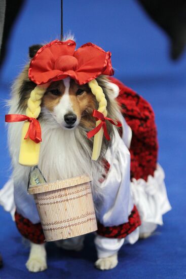 Eurasia international dog show