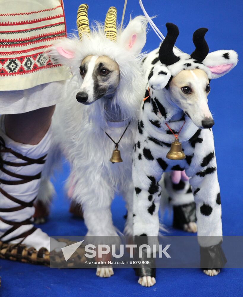 Eurasia international dog show