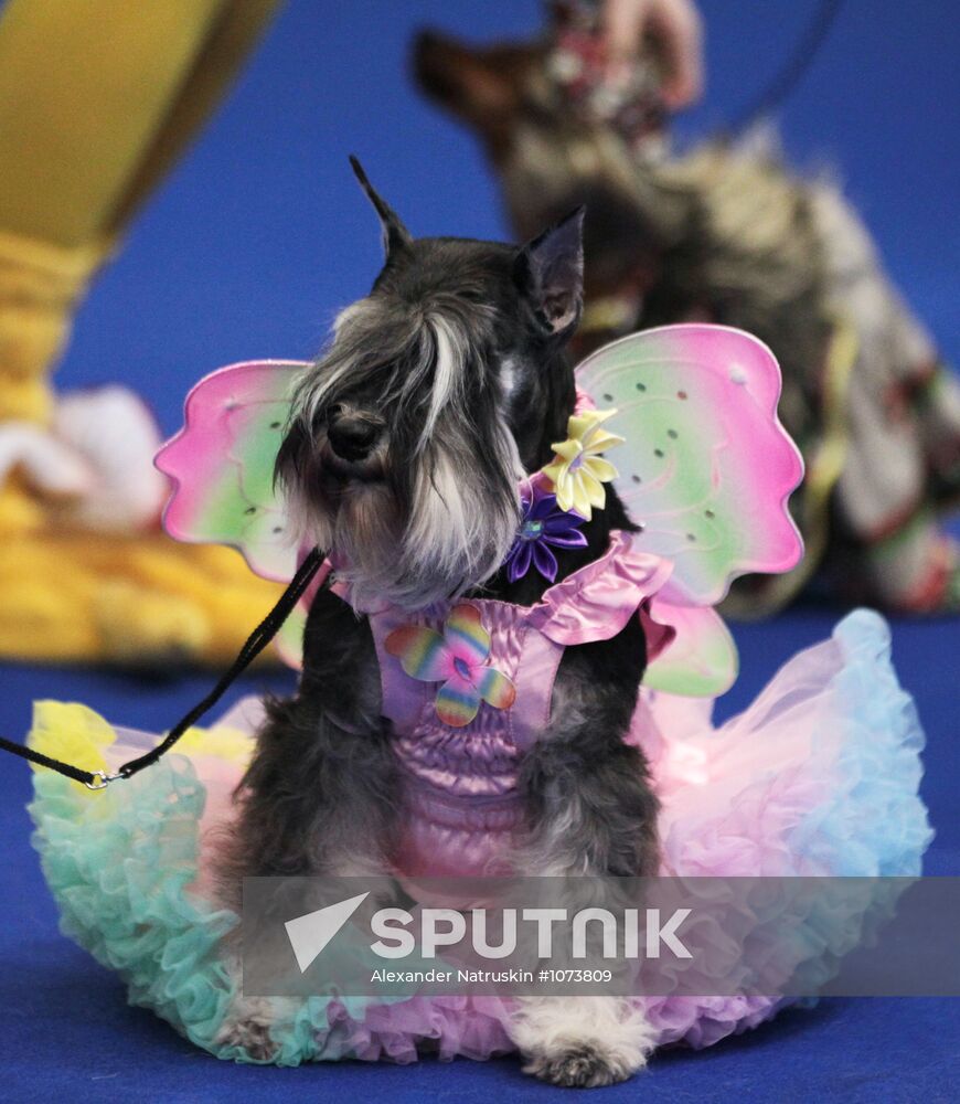Eurasia international dog show