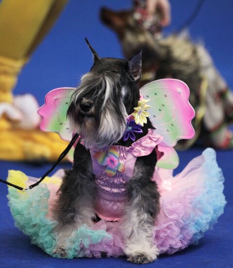 Eurasia international dog show