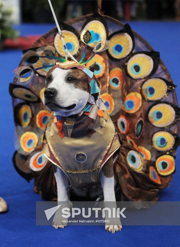 Eurasia international dog show