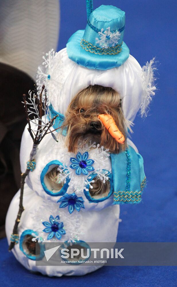 Eurasia international dog show