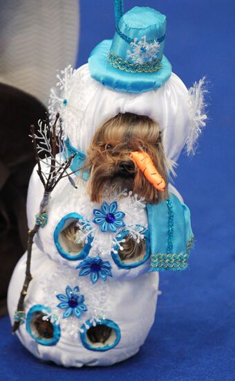 Eurasia international dog show
