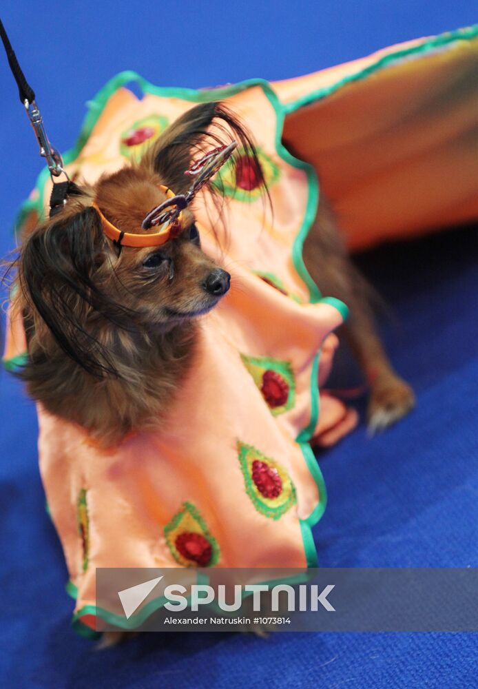 Eurasia international dog show
