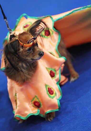 Eurasia international dog show
