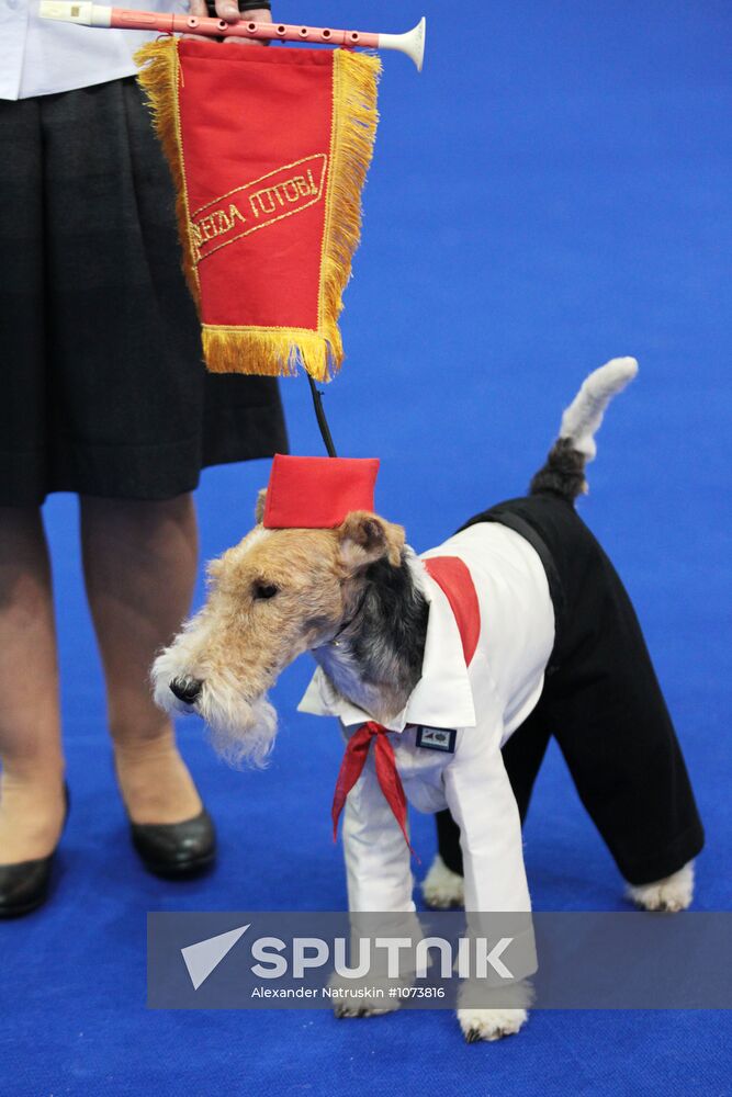 Eurasia international dog show
