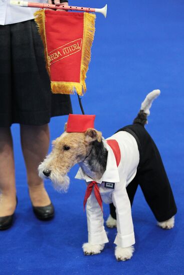 Eurasia international dog show