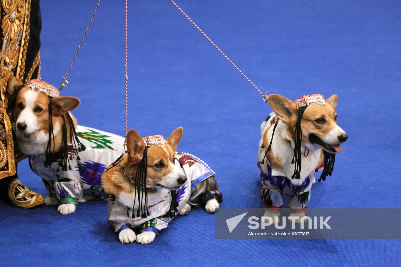 Eurasia international dog show