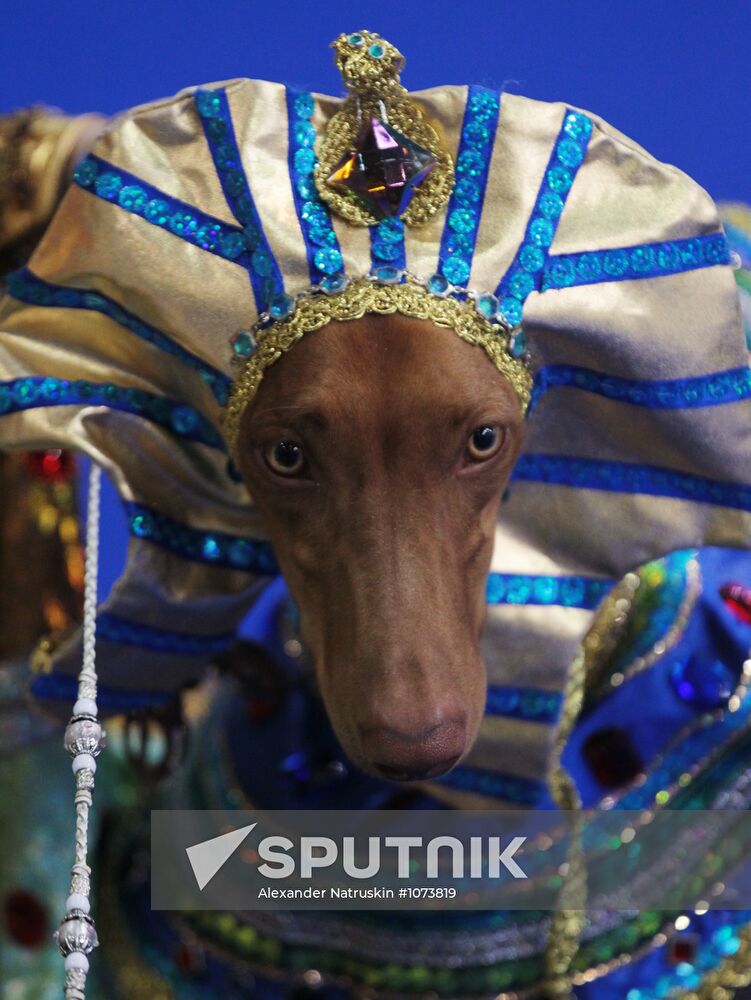 Eurasia international dog show