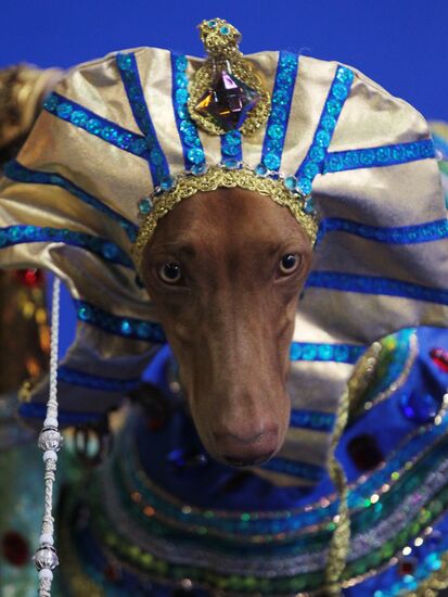 Eurasia international dog show