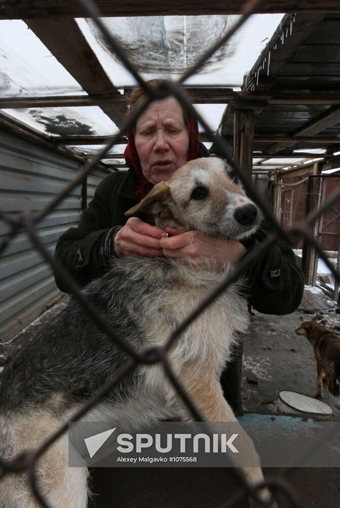 "Friend" shelter for dogs in Omsk