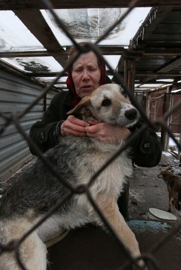 "Friend" shelter for dogs in Omsk