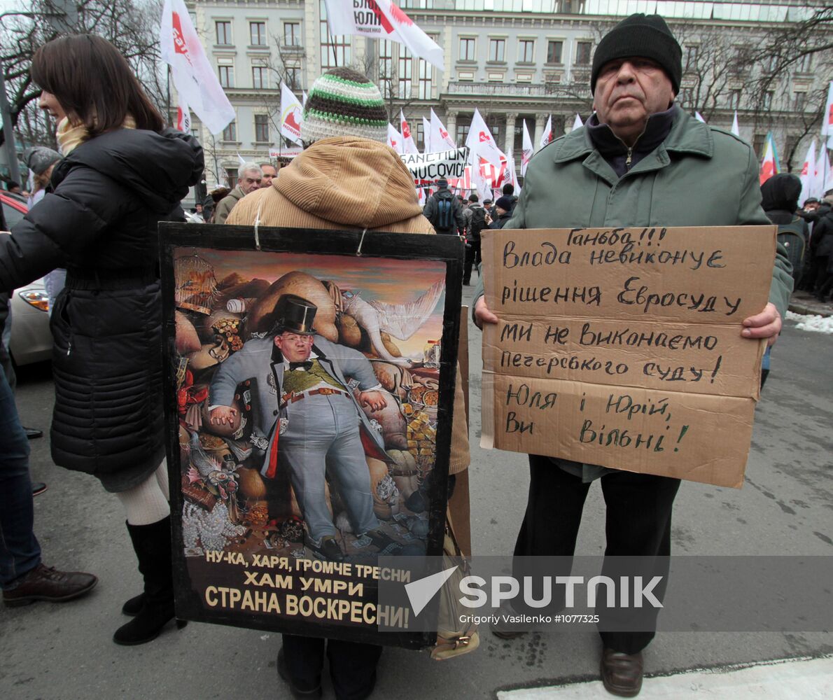 Yulia Tymoshenko's supporters rally