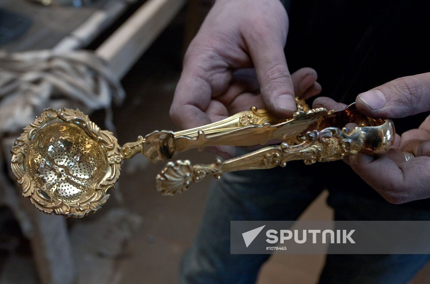 Treasure found in private villa, St. Petersburg
