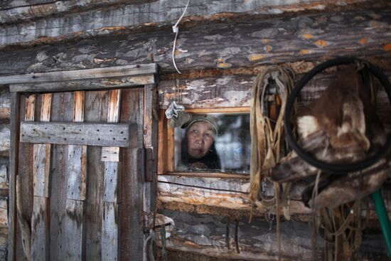 Last nomad reindeer herders of the Sychegir family