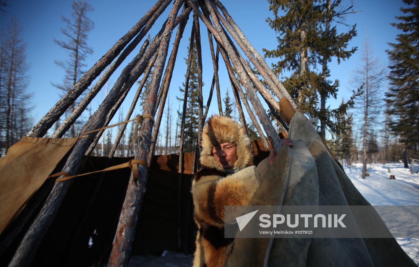 Last nomad reindeer herders of the Sychegir family