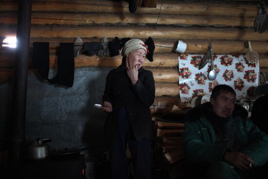 Last nomad reindeer herders of the Sychegir family