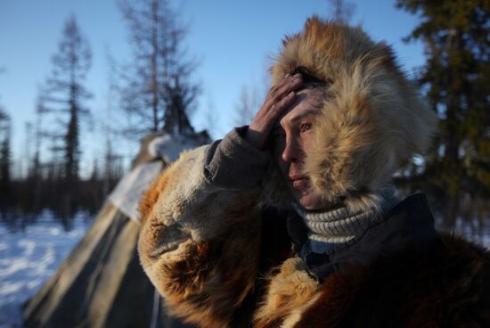 Last nomad reindeer herders of the Sychegir family