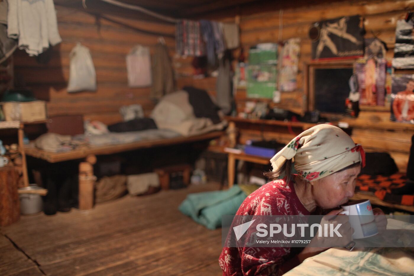 Last nomad reindeer herders of the Sychegir family