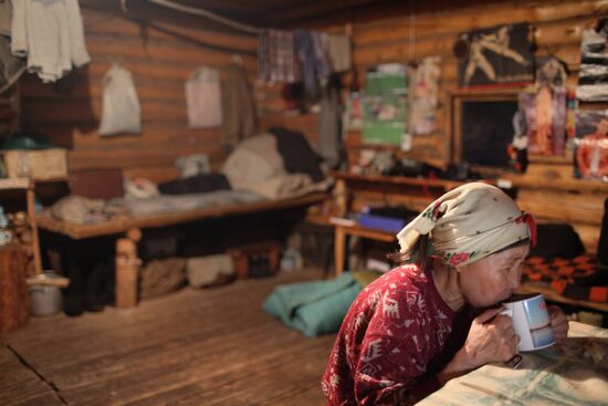 Last nomad reindeer herders of the Sychegir family