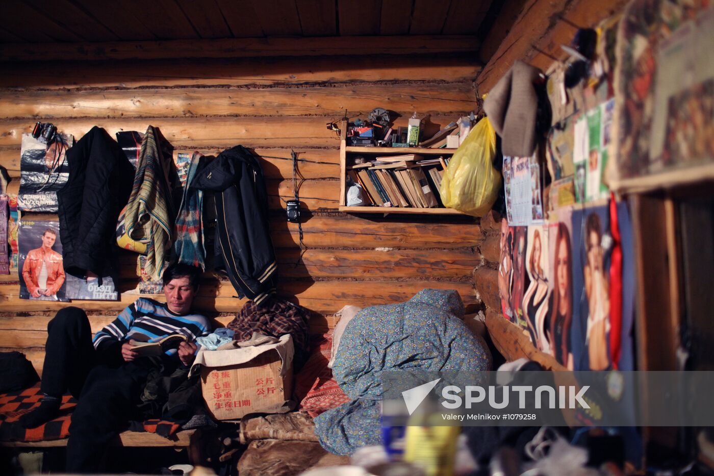 Last nomad reindeer herders of the Sychegir family