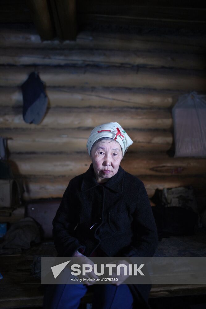 Last nomad reindeer herders of the Sychegir family