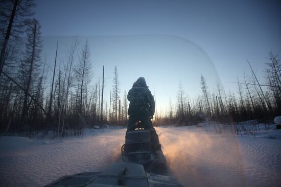 Last nomadic reindeer herders of Sychegir ethnic group