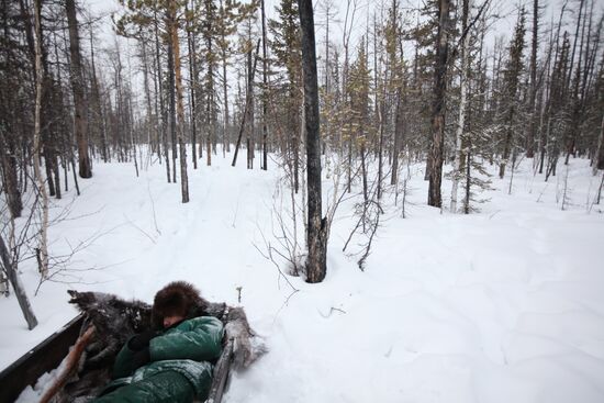 Last nomadic reindeer herders of Sychegir ethnic group