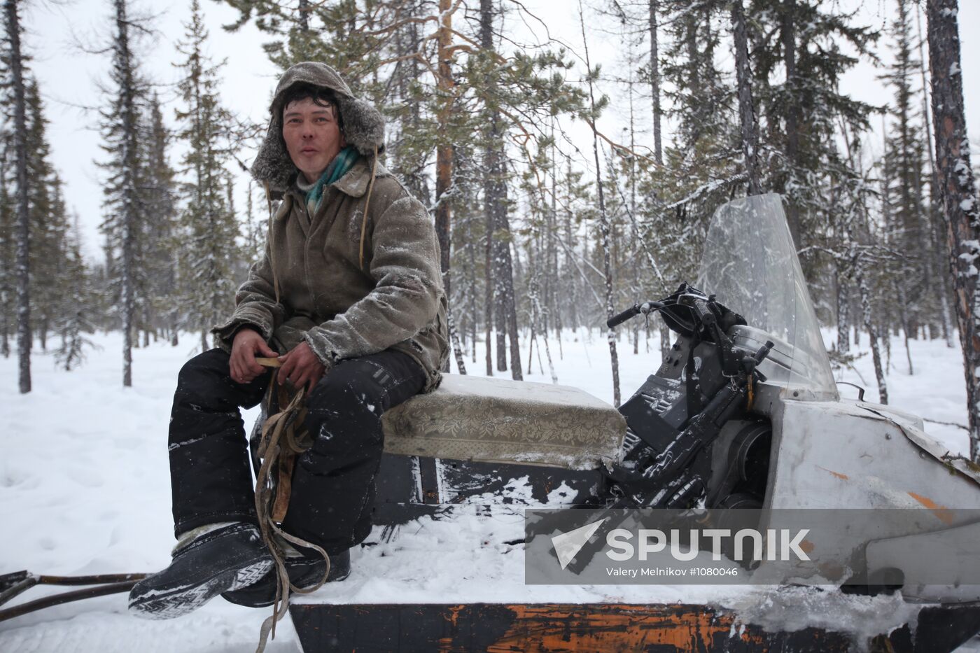 Last nomadic reindeer herders of Sychegir ethnic group